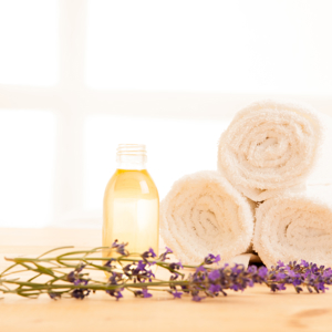 Shutterstock 564165880