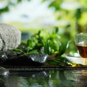 Shutterstock 555165706