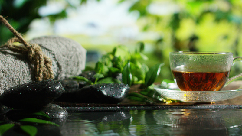 Shutterstock 555165706